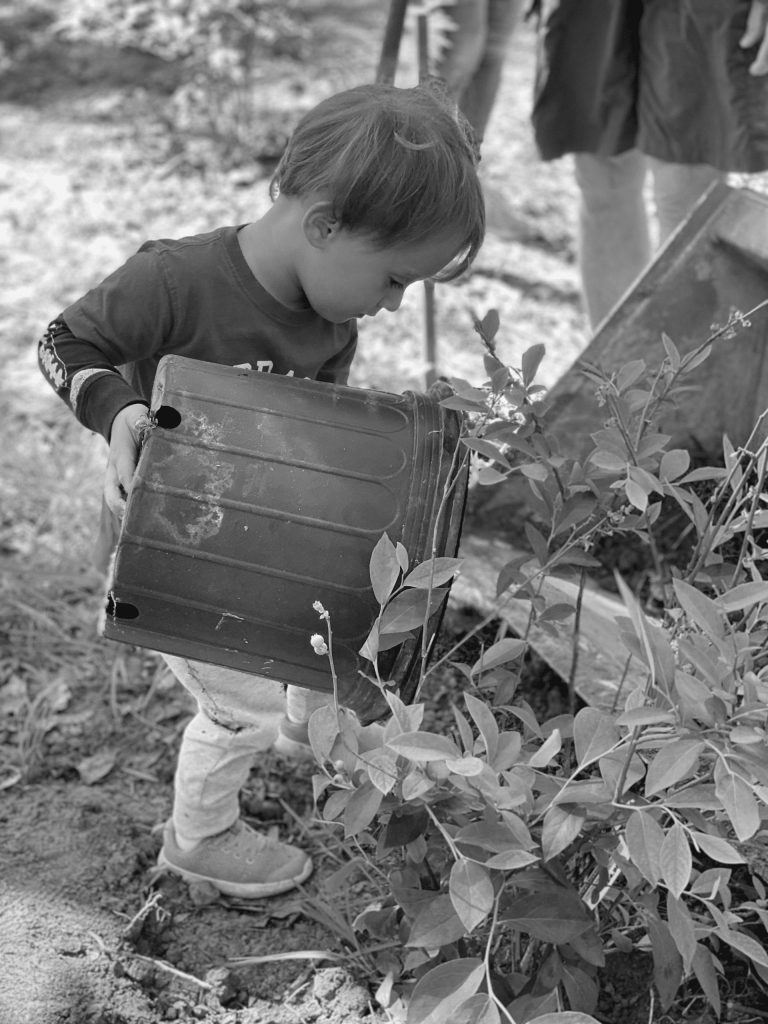 Trintech Participates in the 50th Anniversary of Earth Day