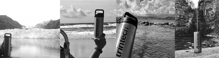 Trintechers Continue Commitment to Sustainability
