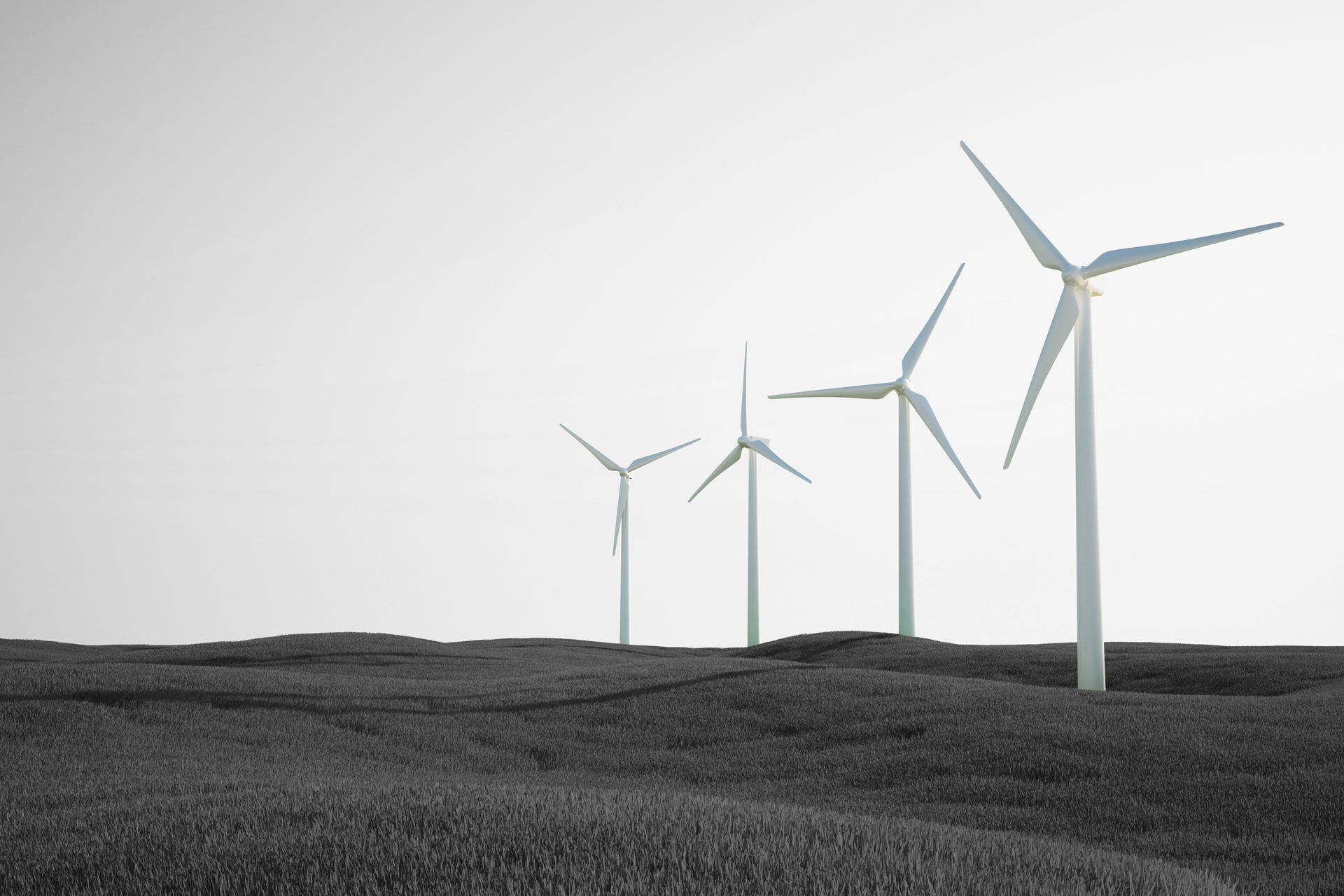 Wind turbines in a field