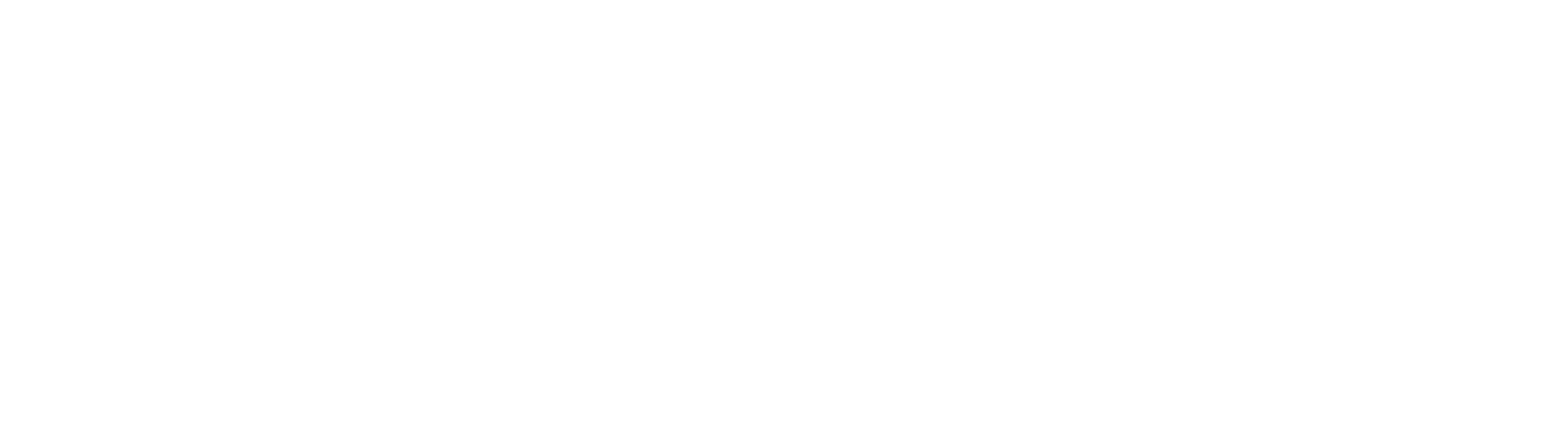 Pan American Life Insurance Group Logo-White